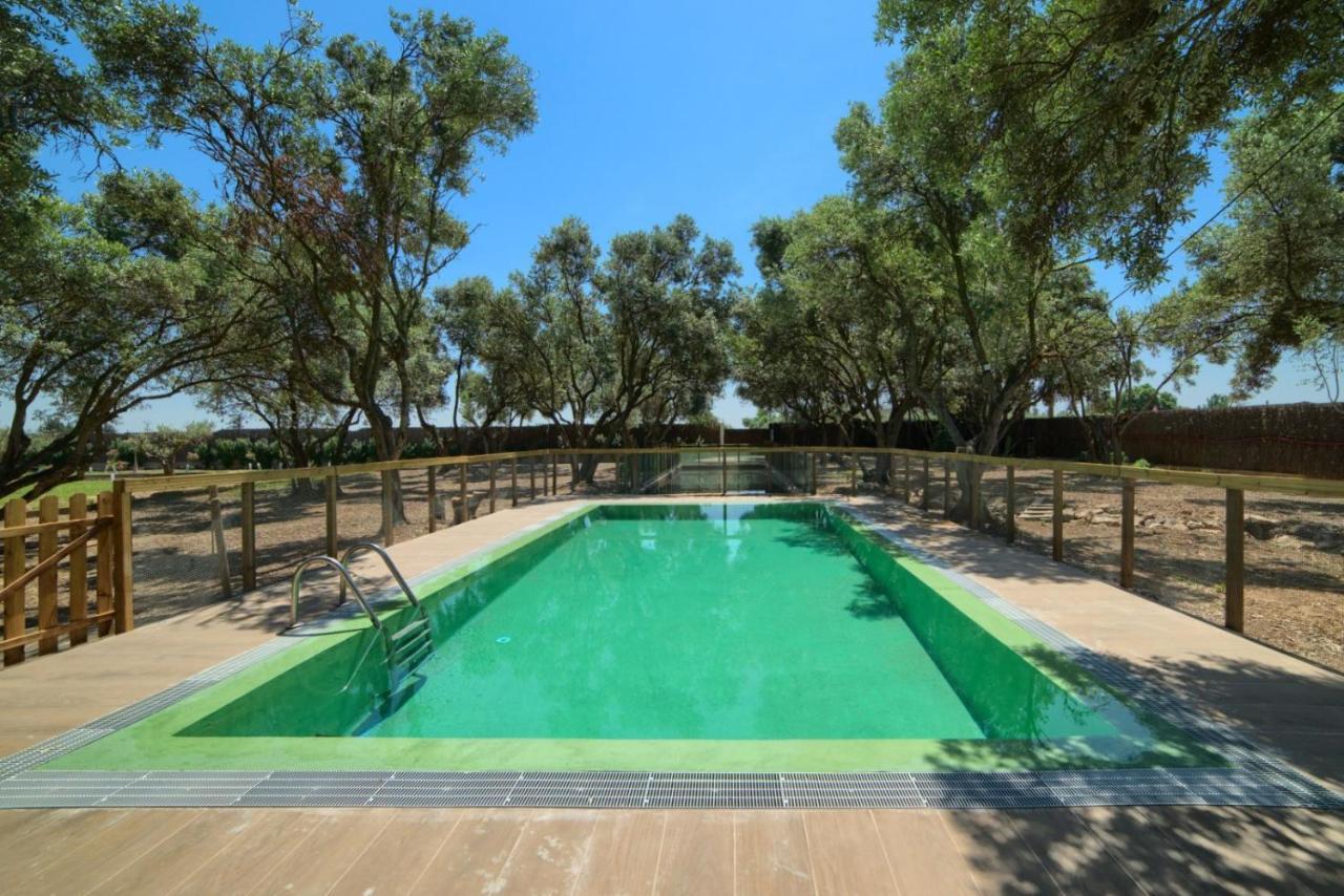 Гостевой дом Finca Olivar De La Bardena Тудела Экстерьер фото